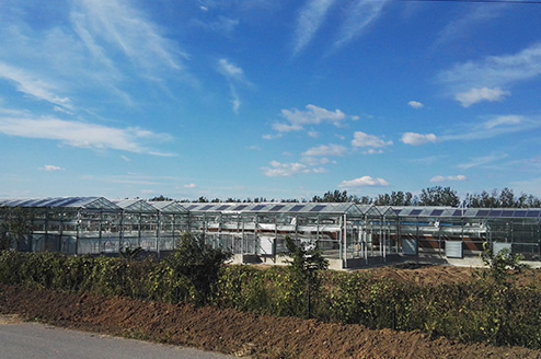 �е²�ݮ���Ｐ˳���԰�չ�������Ŀ