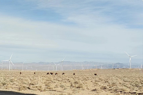 �û�����