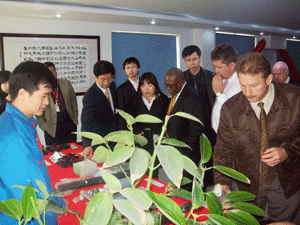 �Ƿ�����(�й���)-�ٷ���վ